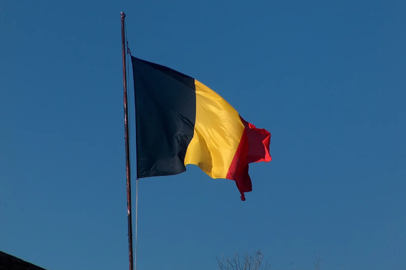 De Belgische vlag waait aan een mast tegen een diepblauwe lucht