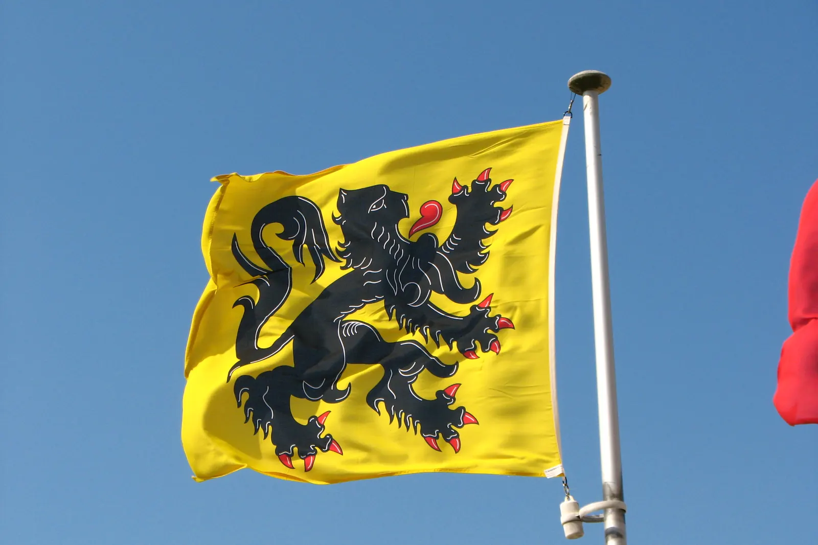 De Vlaamse vlag met de zwarte leeuw op een gele achtergrond aan een mast
