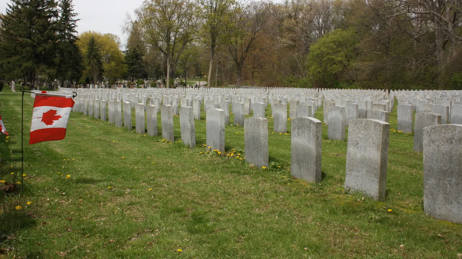 Rows of white war graves in a Canadian cemetery with a small flag of Canada at the end of a row