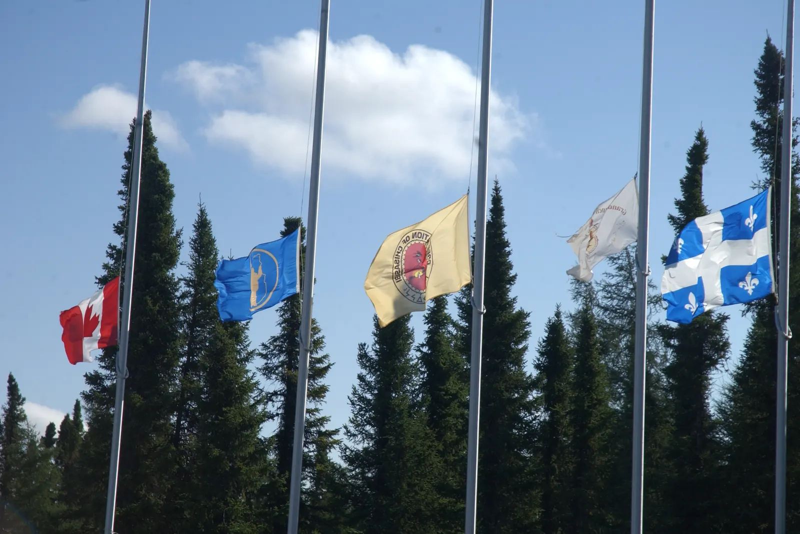 The flags of Canada and Québec and two municipal flags at half-mast in front of spruce trees