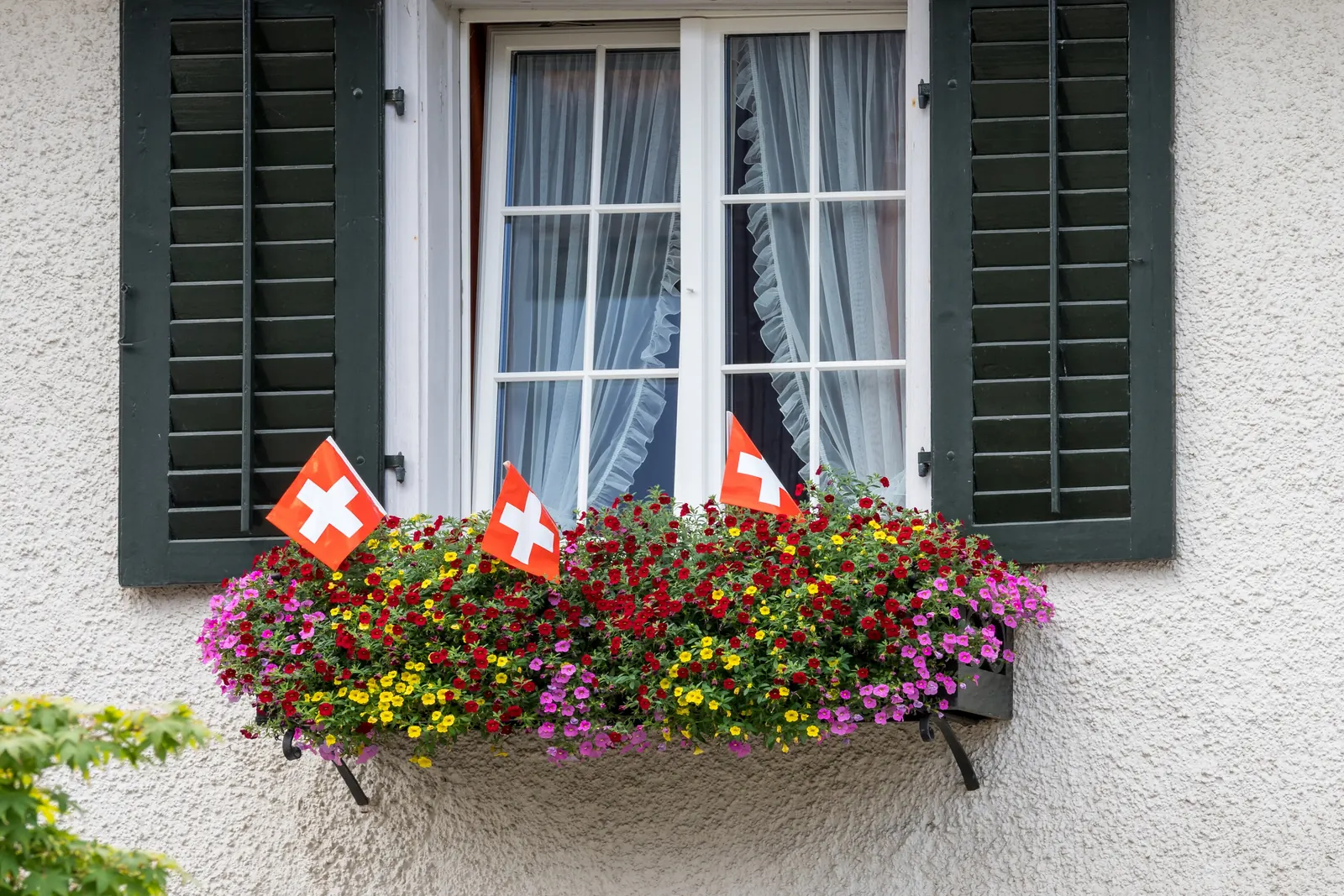 Kleine Schweizerfahnen in einem Blumenkasten vor einem Fenster mit grünen Läden