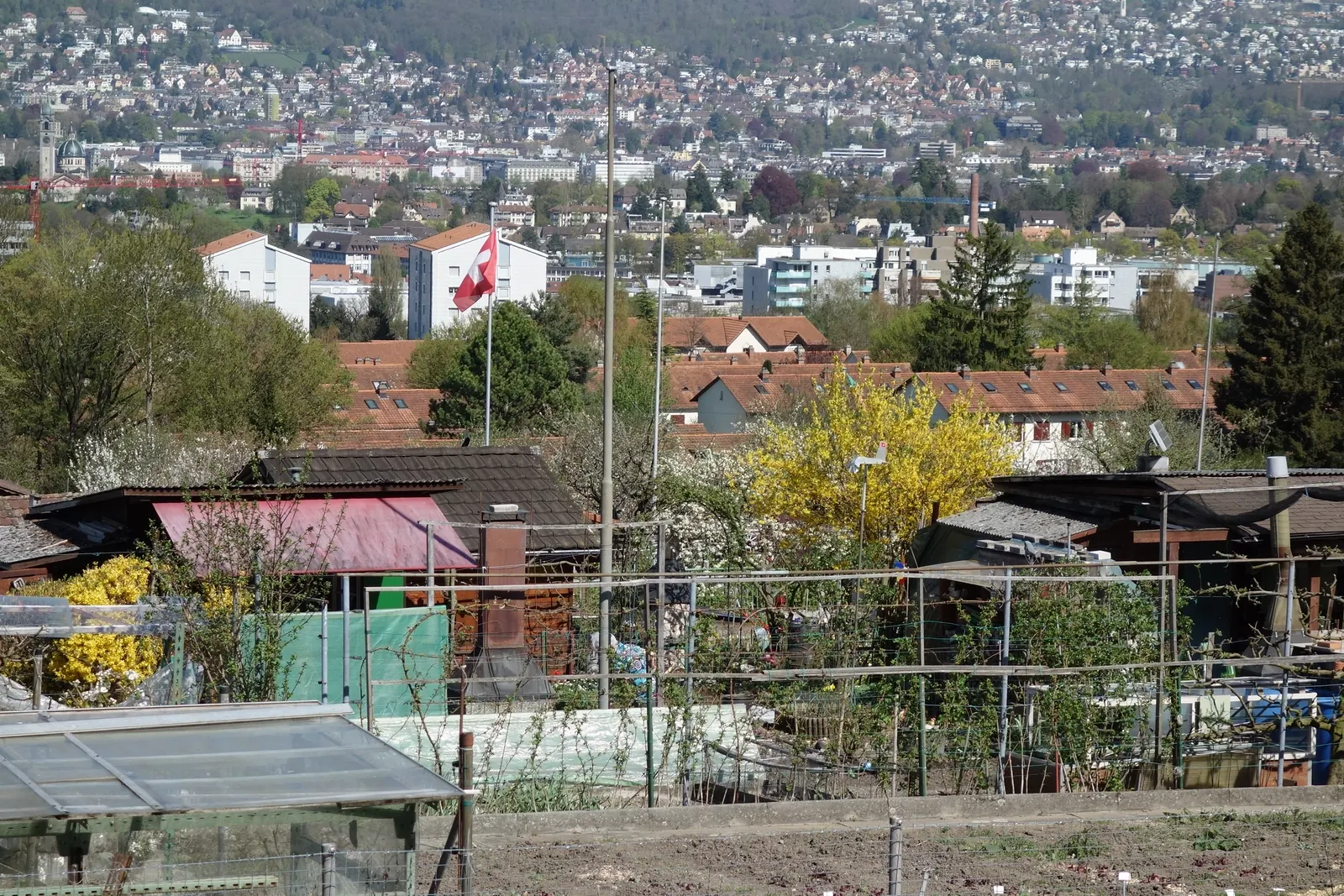Schrebergärten in Zürich mit mehreren Fahnenmasten und einer Schweizerfahne