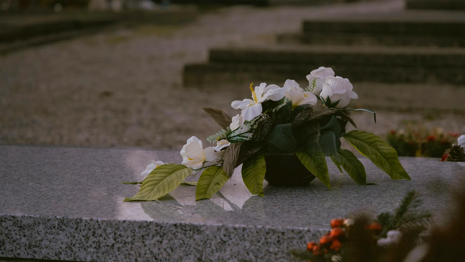 Flores blancas sobre una tumba