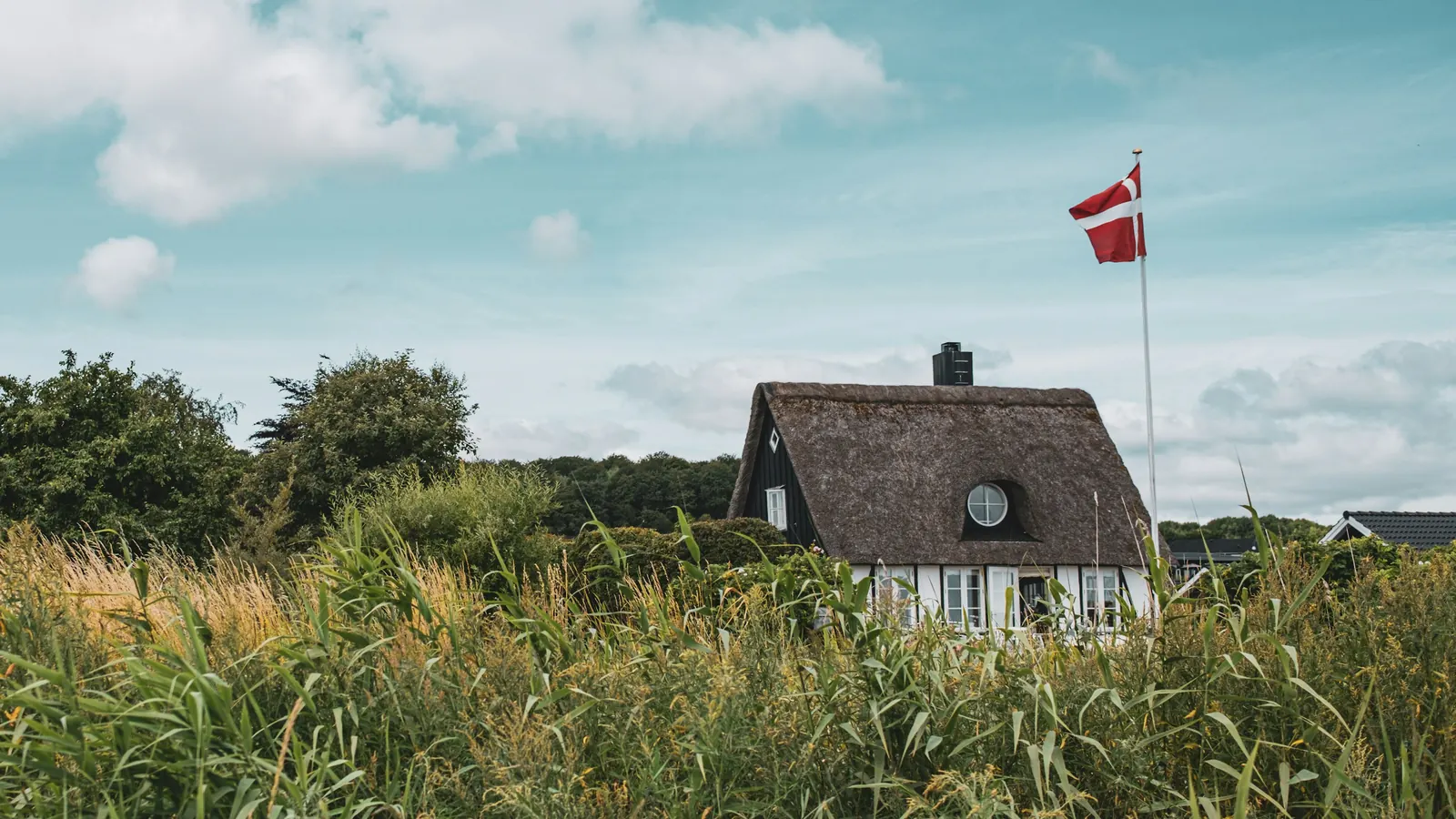 Stråtækt hus bag højt siv med Dannebrog på en flagstang, der rager op over taget