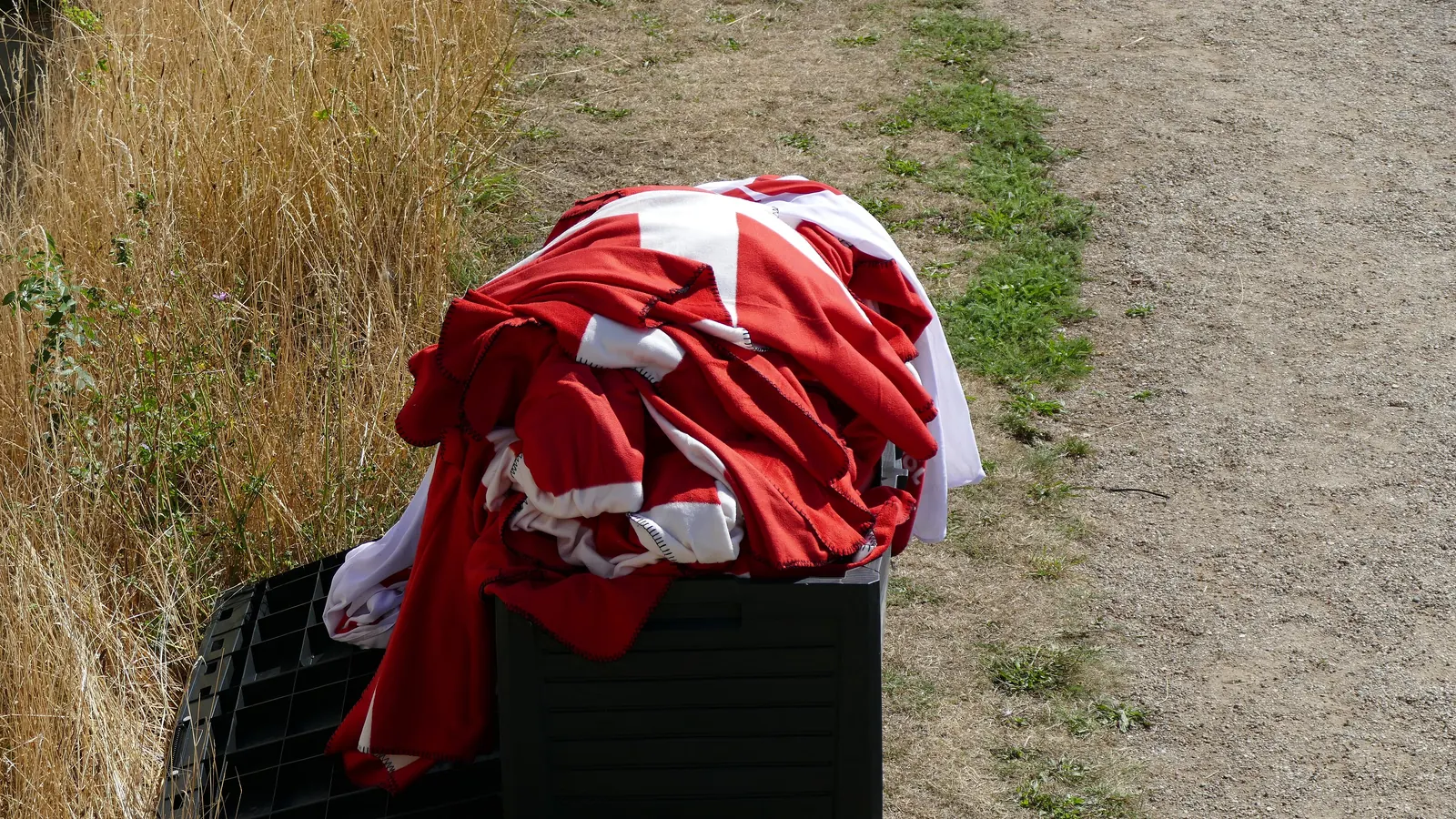 Sammenlagt dannebrogsflag på en kasse ved en grussti