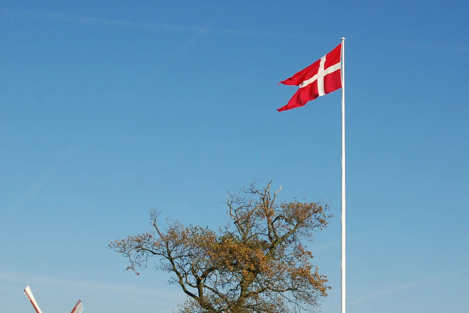 Dannebrog på en hvid flagstang på en grøn bakke med et træ