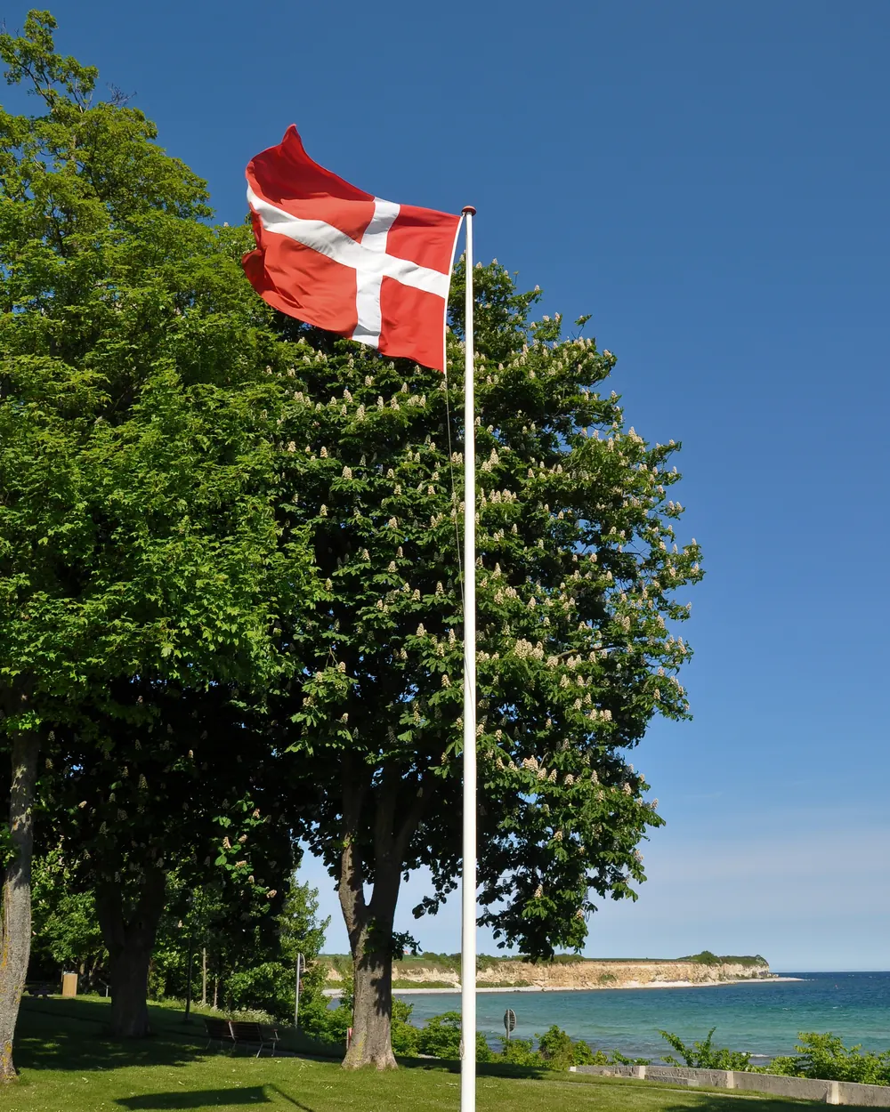 Dannebrog på en hvid flagstang ved Rødvig Strand med Stevns Klint i baggrunden