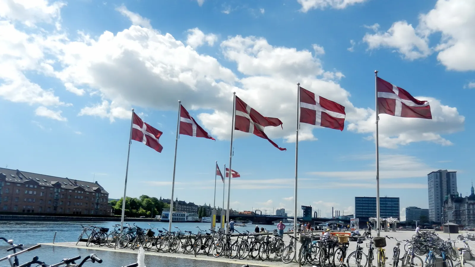 Række af flagstænger med Dannebrog langs en havnekaj med cykler i forgrunden