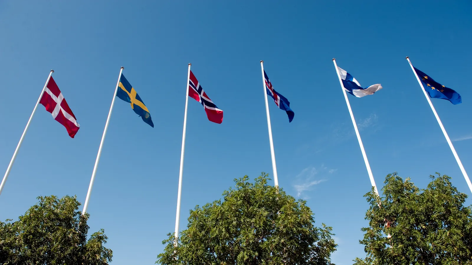 De nordiske landes flag og EU-flaget på en række hvide flagstænger mod blå himmel