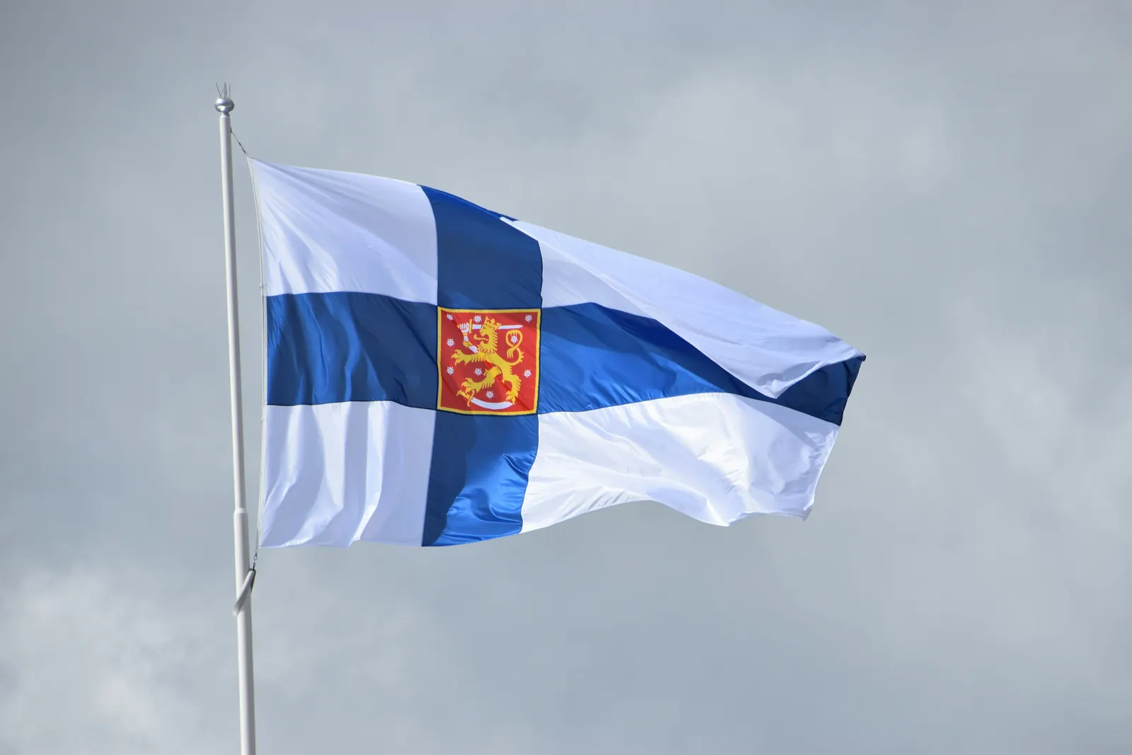 Valtiolippu, jonka ristin keskellä on punainen leijonavaakuna