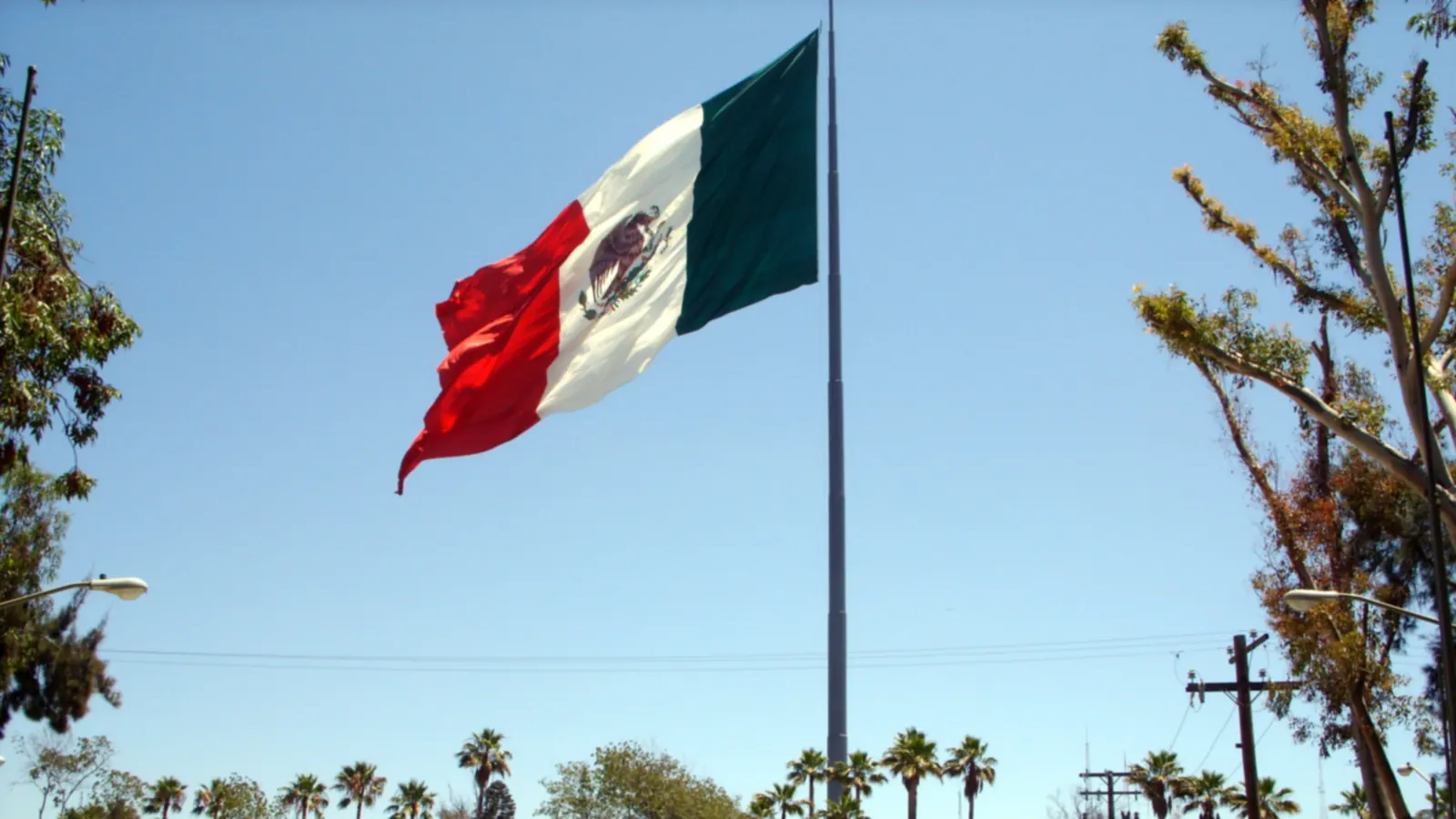 Una bandera monumental en un asta muy alta junto al Cuartel Morelos, entre palmeras