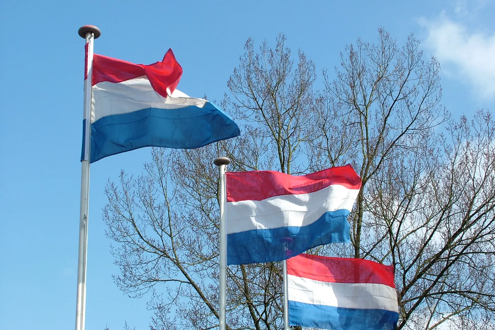 Drie Nederlandse vlaggen aan masten van verschillende hoogte tegen een blauwe lucht