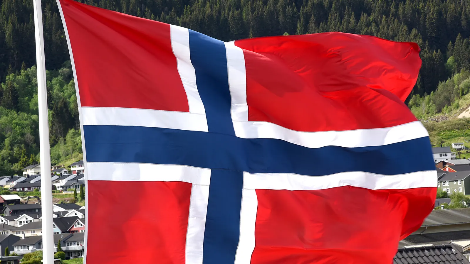 Et stort norsk flagg på stang over et boligområde i en dal