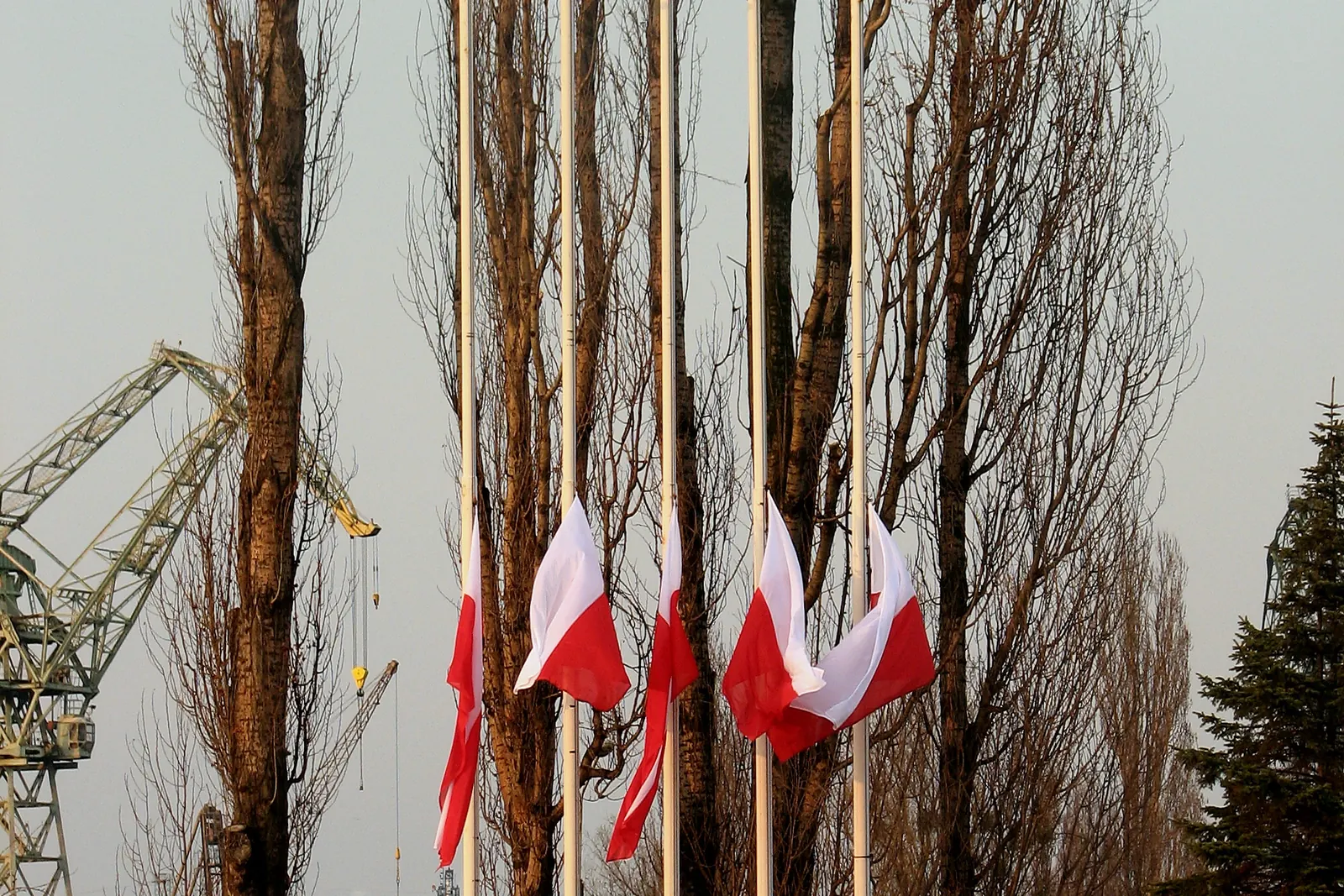 Rząd flag opuszczonych do połowy masztu na placu Solidarności w Gdańsku
