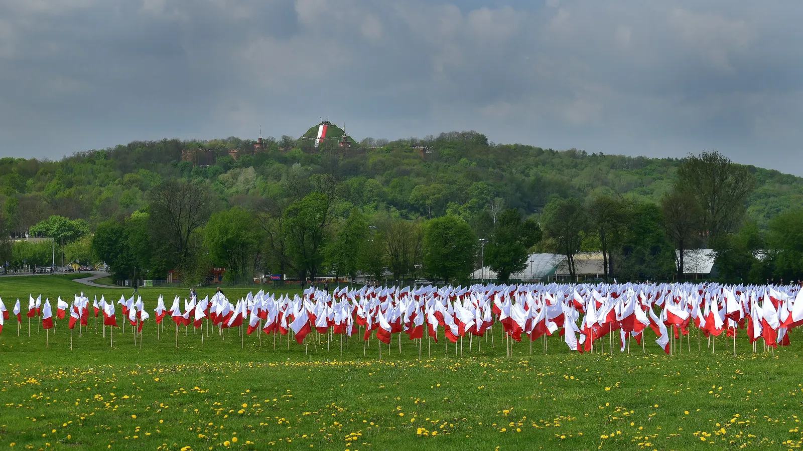 Tysiące małych biało-czerwonych flag na Błoniach w Krakowie w Dniu Flagi, 2 maja 2019 roku