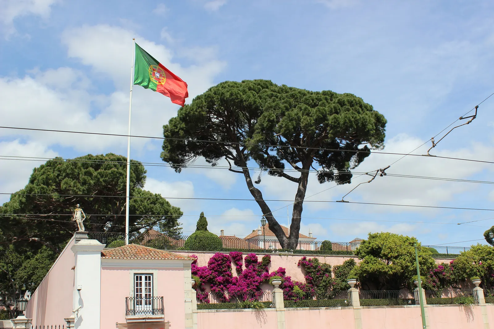 A Bandeira Nacional no mastro do Palácio de Belém, entre pinheiros mansos