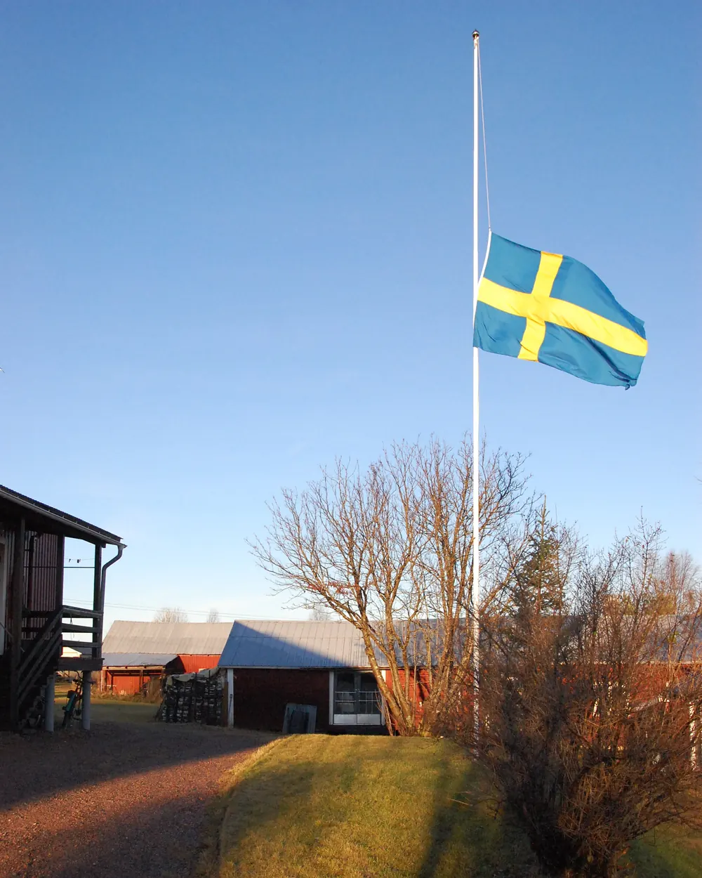 Svensk flagga på halv stång vid en gård i kvällsljus