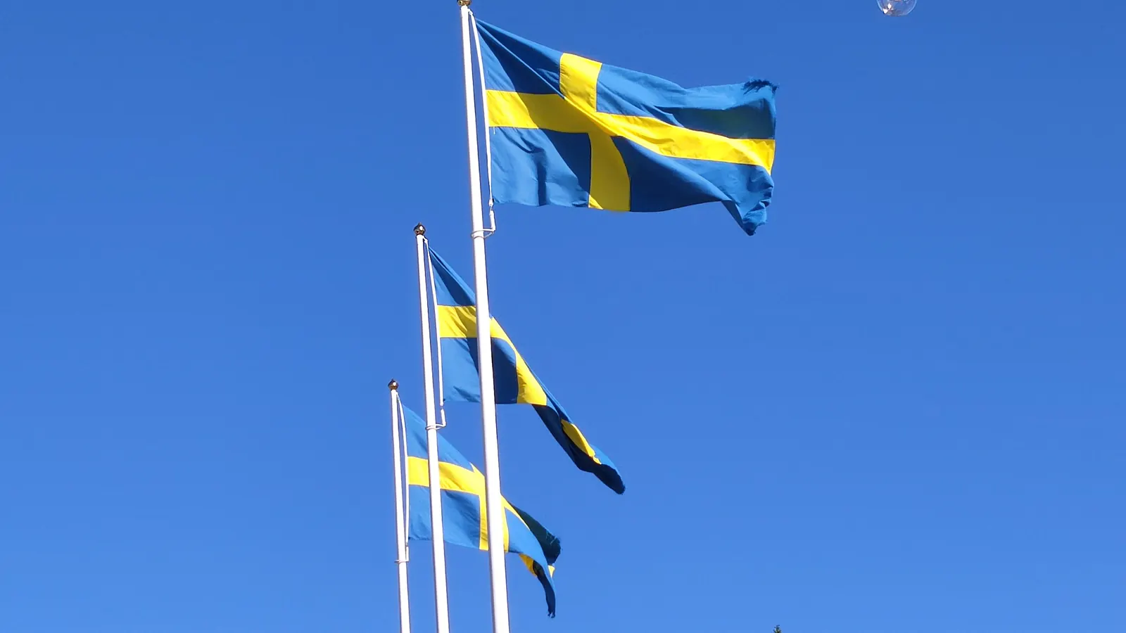 Tre svenska flaggor på stänger i olika höjd mot klarblå himmel