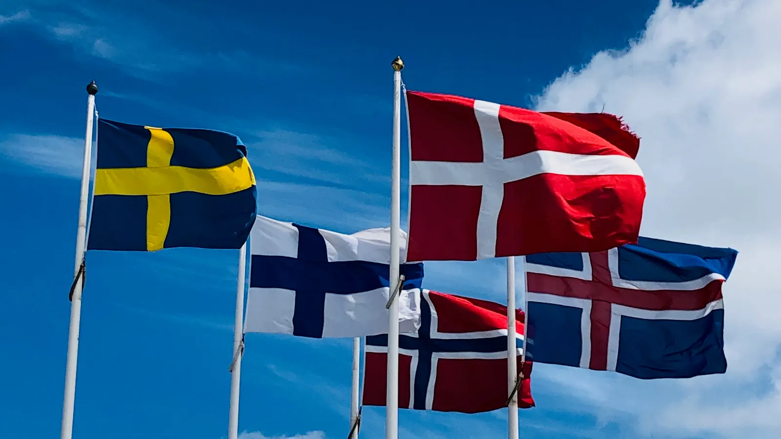 Flaggorna från Sverige, Finland, Danmark, Norge och Island på flaggstänger mot blå himmel