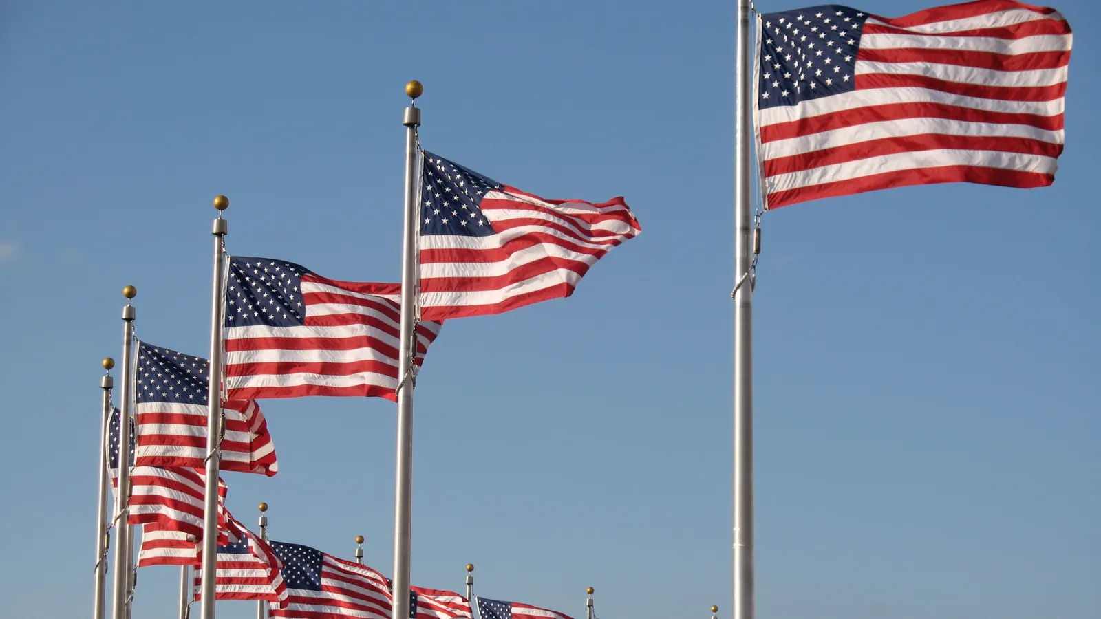 Flags of the United States in a circle around the Washington Monument