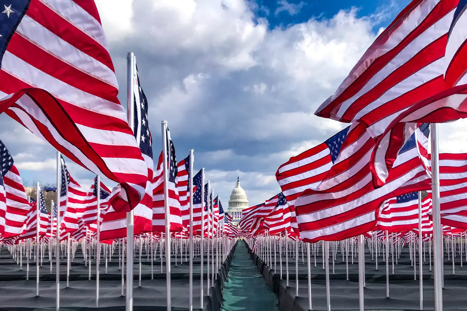 A field of flags of the United States on the National Mall in Washington, D.C.