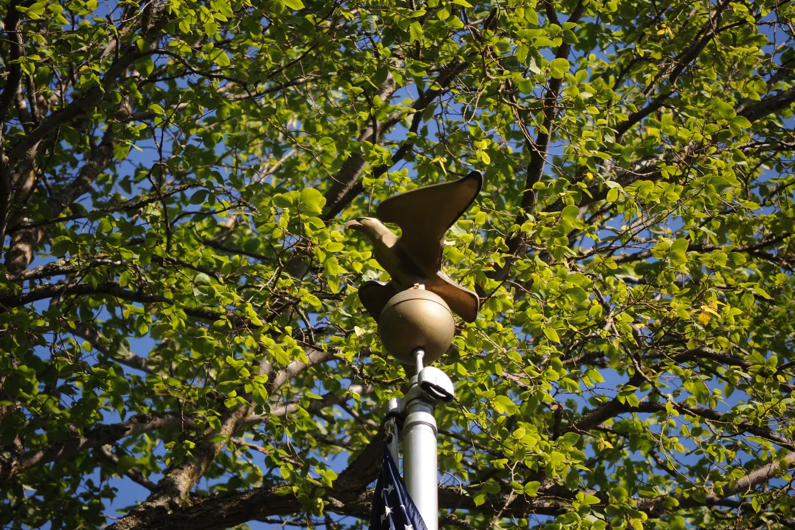 An eagle finial on top of a flagpole at a post office in Longview