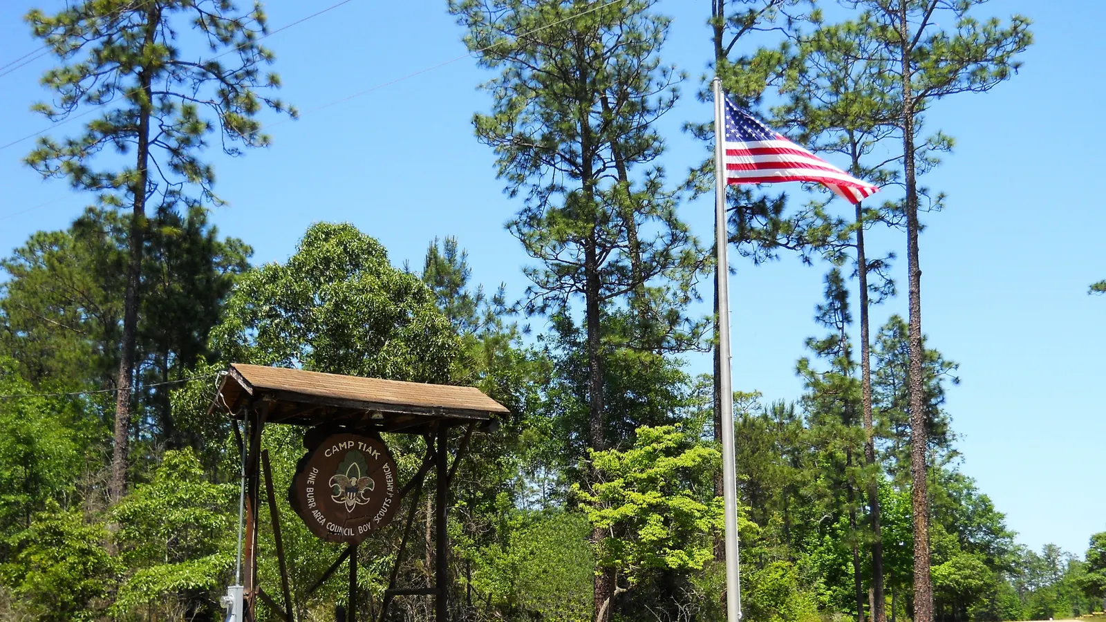 A free-standing flagpole with the flag of the United States among pine trees